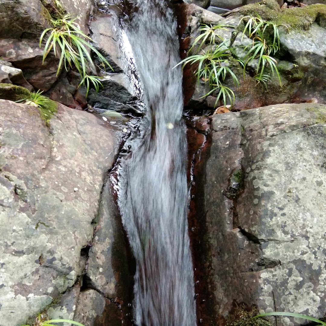 众力生态农场（猪毛牧业）