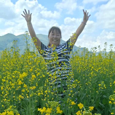 康乃馨