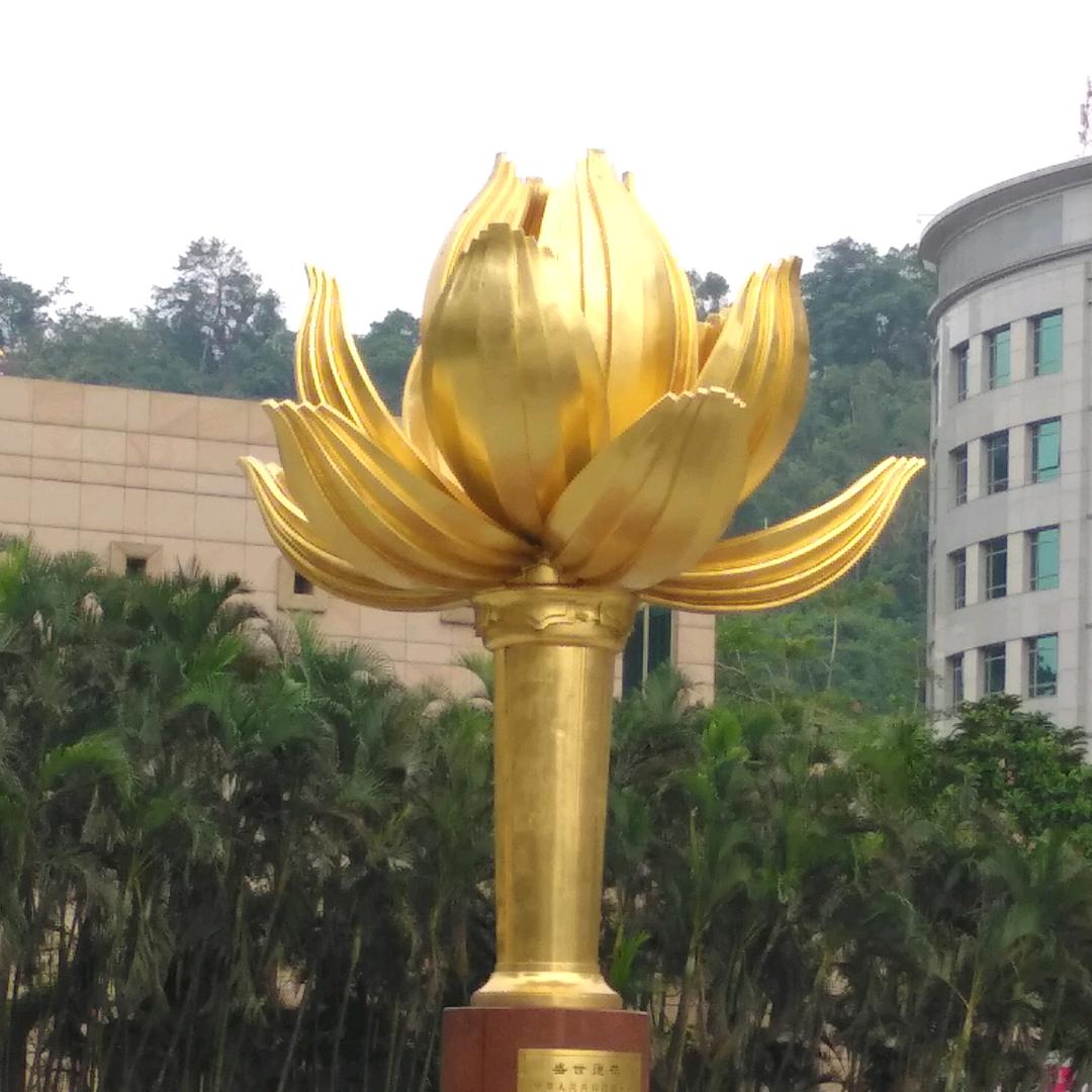 图