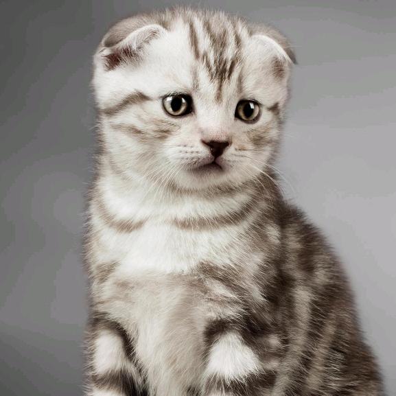 🌈探囊取物🎱🎱🎱