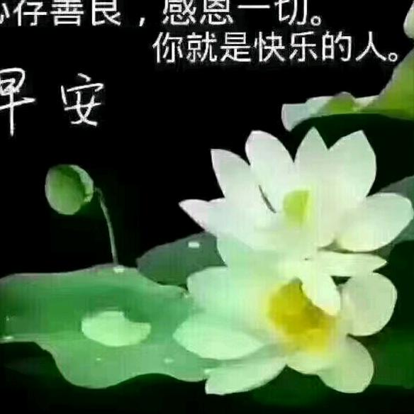 💁一笑而过💁