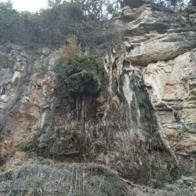 徐勋尊
