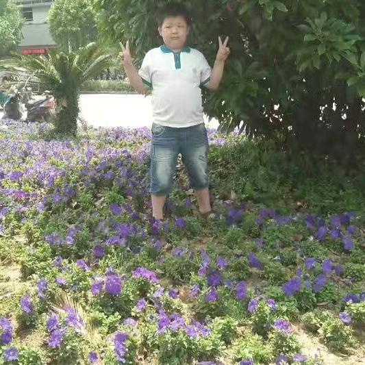 叶姐