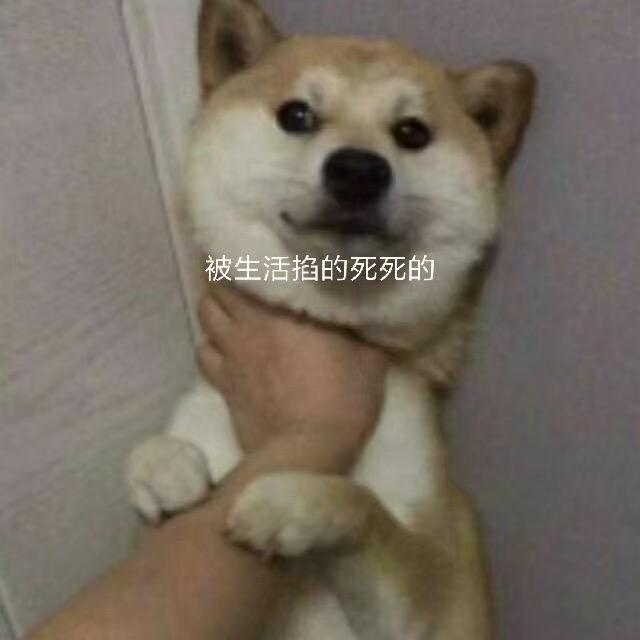 采姑娘滴小蘑菇