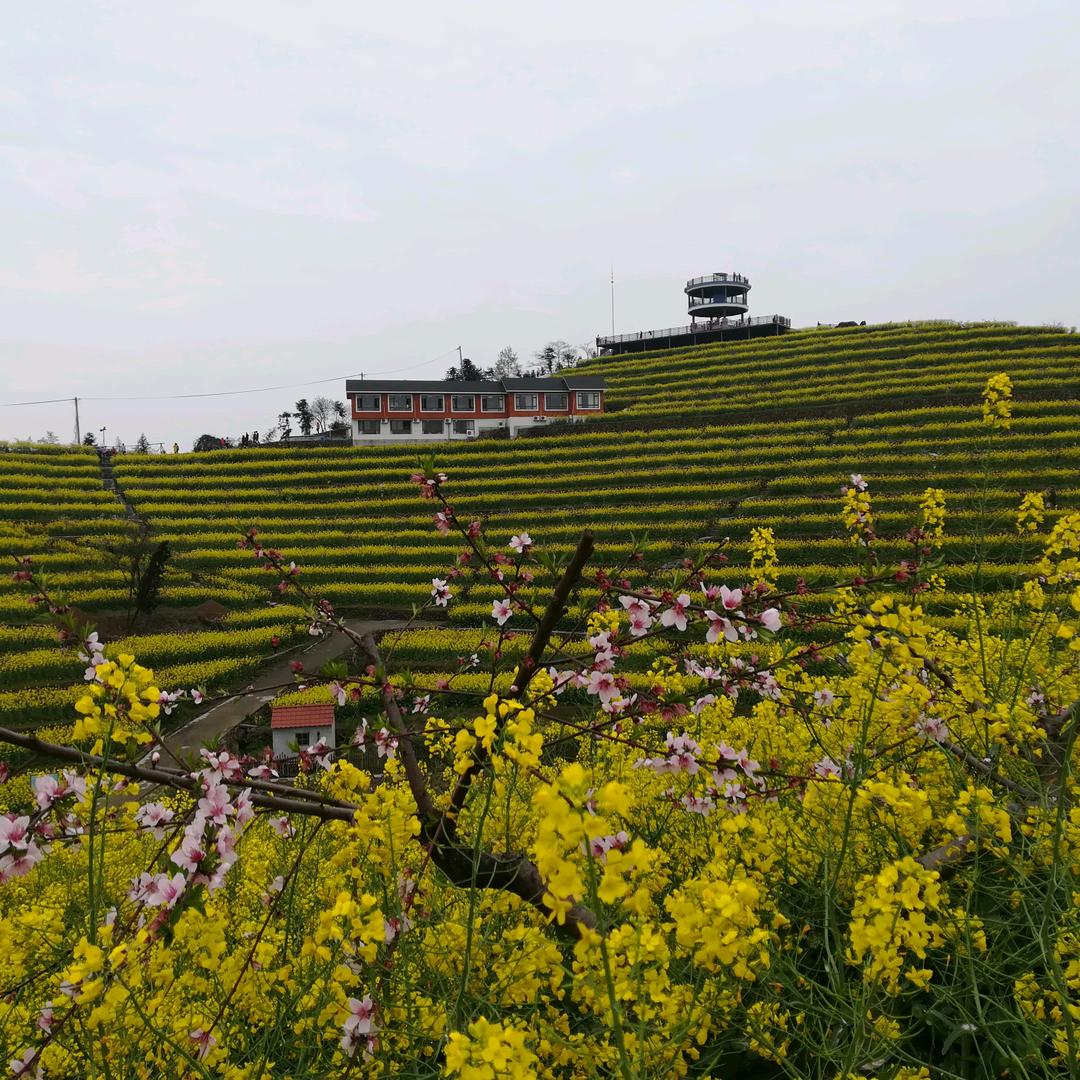 黑山顶