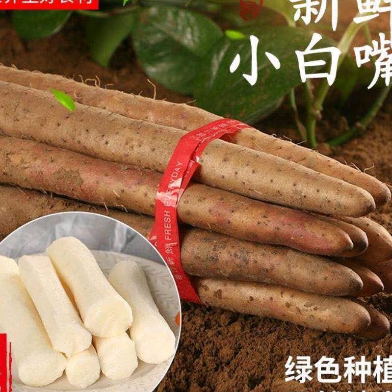 贺权农业