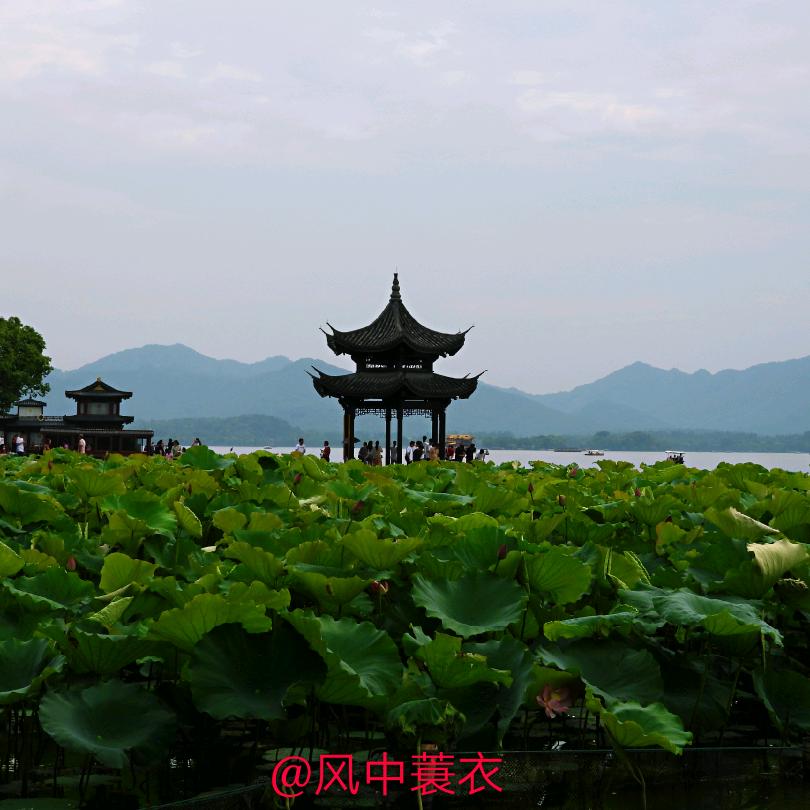 风中蓑衣