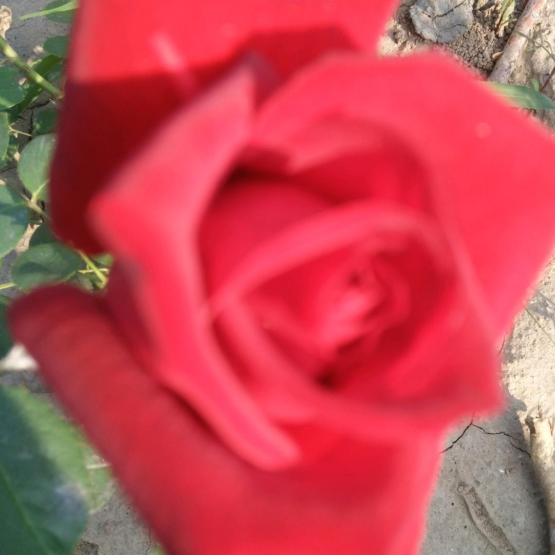 悠闲的心拒绝私聊