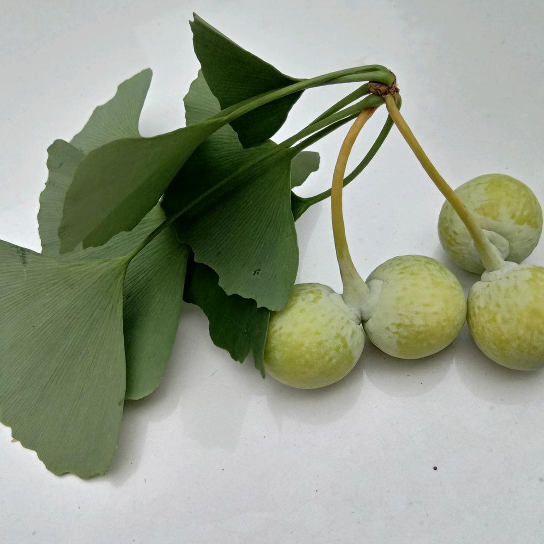 天天开心