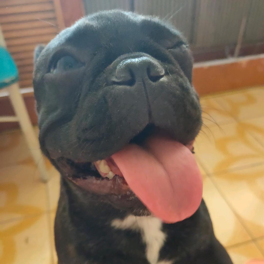 锡盟高高检测站