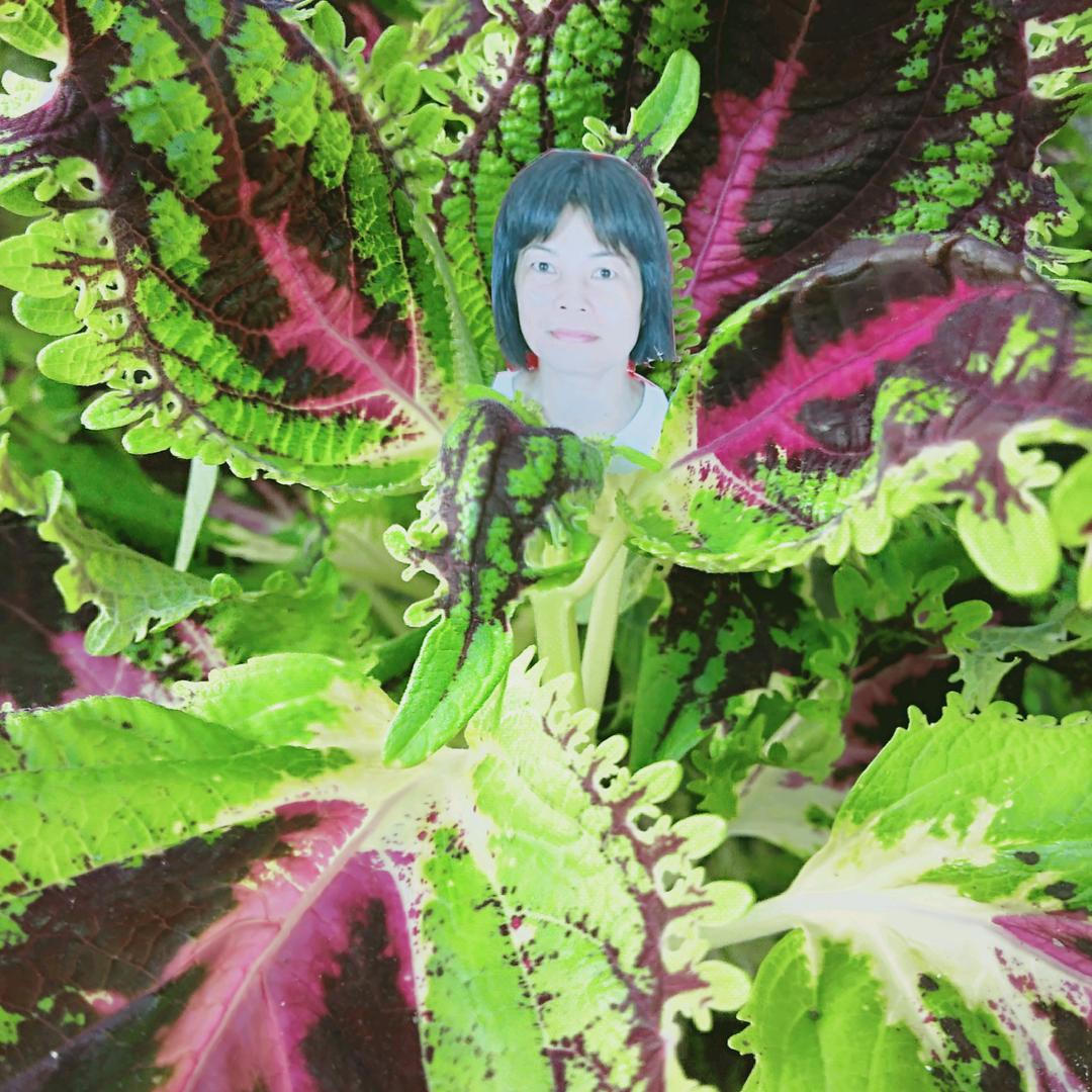🌹轻🌹松🌹