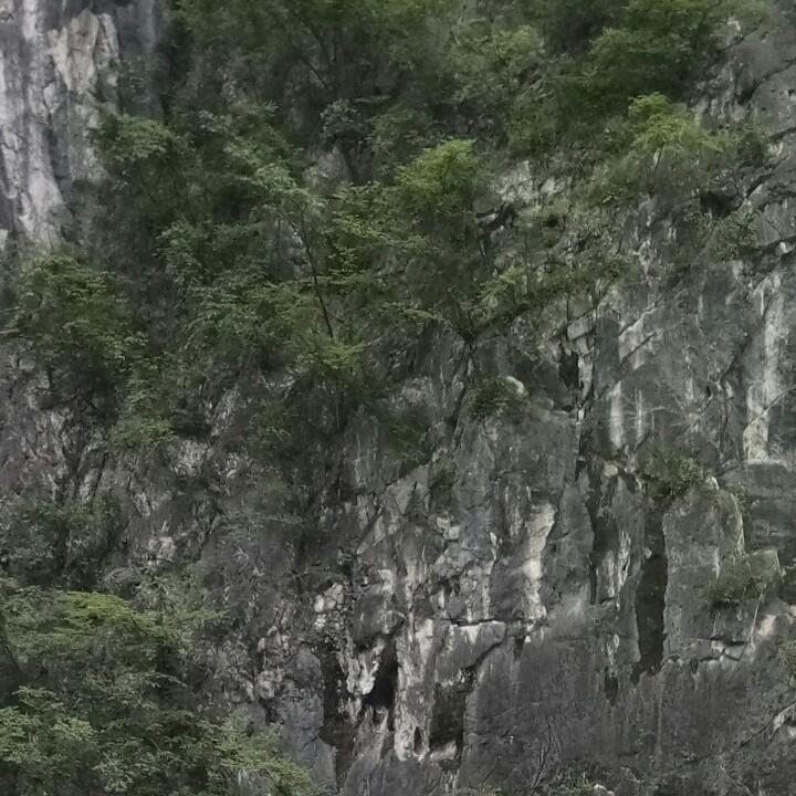 曾曾日上