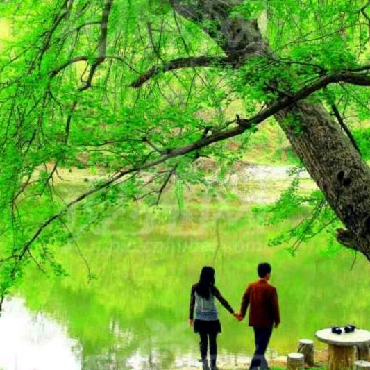 牵手👫一生