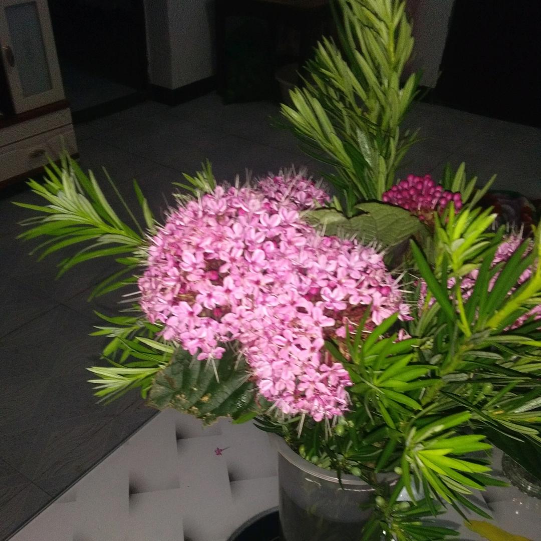 好好珍惜