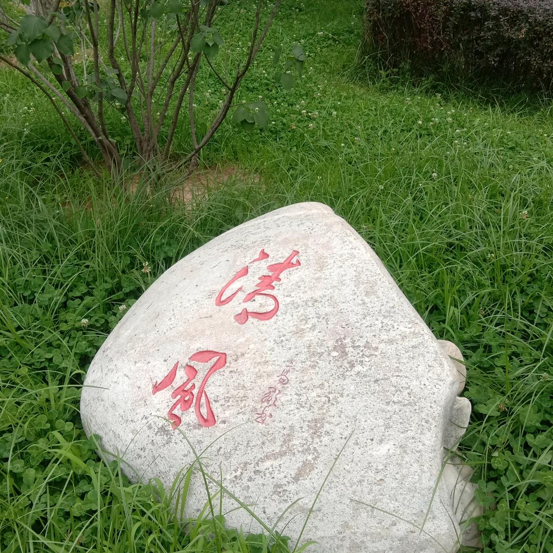 懂你