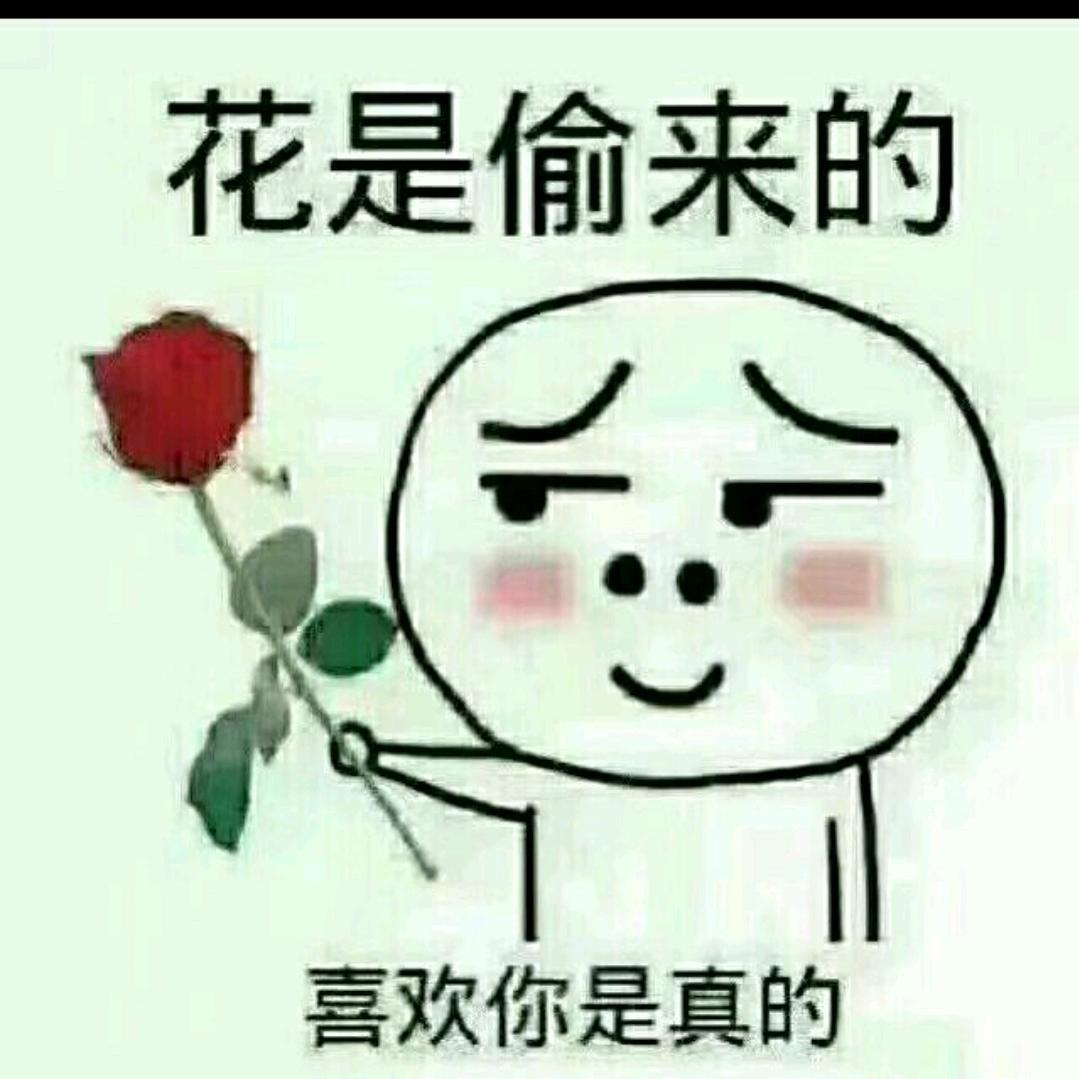 杜子腾