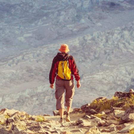 任胖子  ᵕ᷄≀ ̠˘᷅