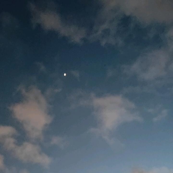 雪花飘落