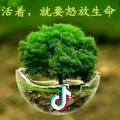 雨后彩虹