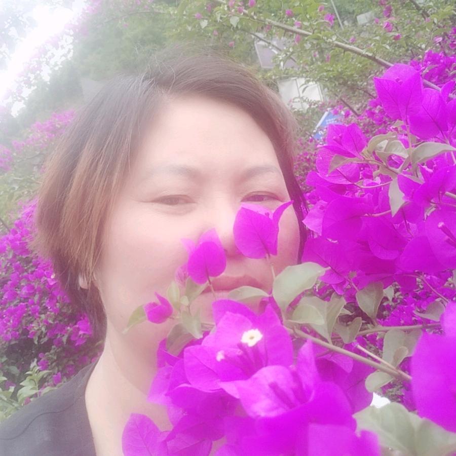 一帘幽梦