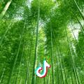香樟南园