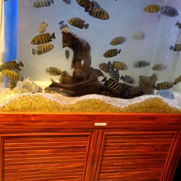 用户4354970510430