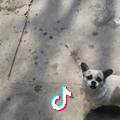 拨开云雾见明月