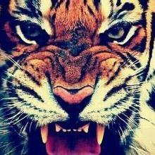 🌟🌟🌟🌟@已封号