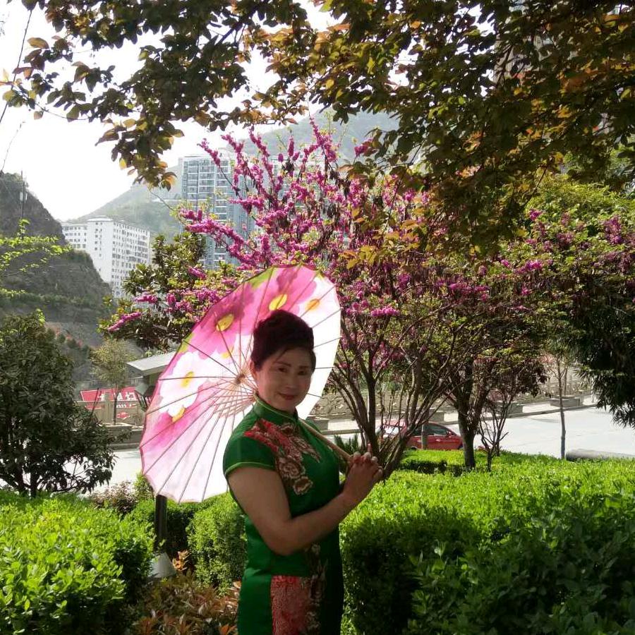 灵芝草