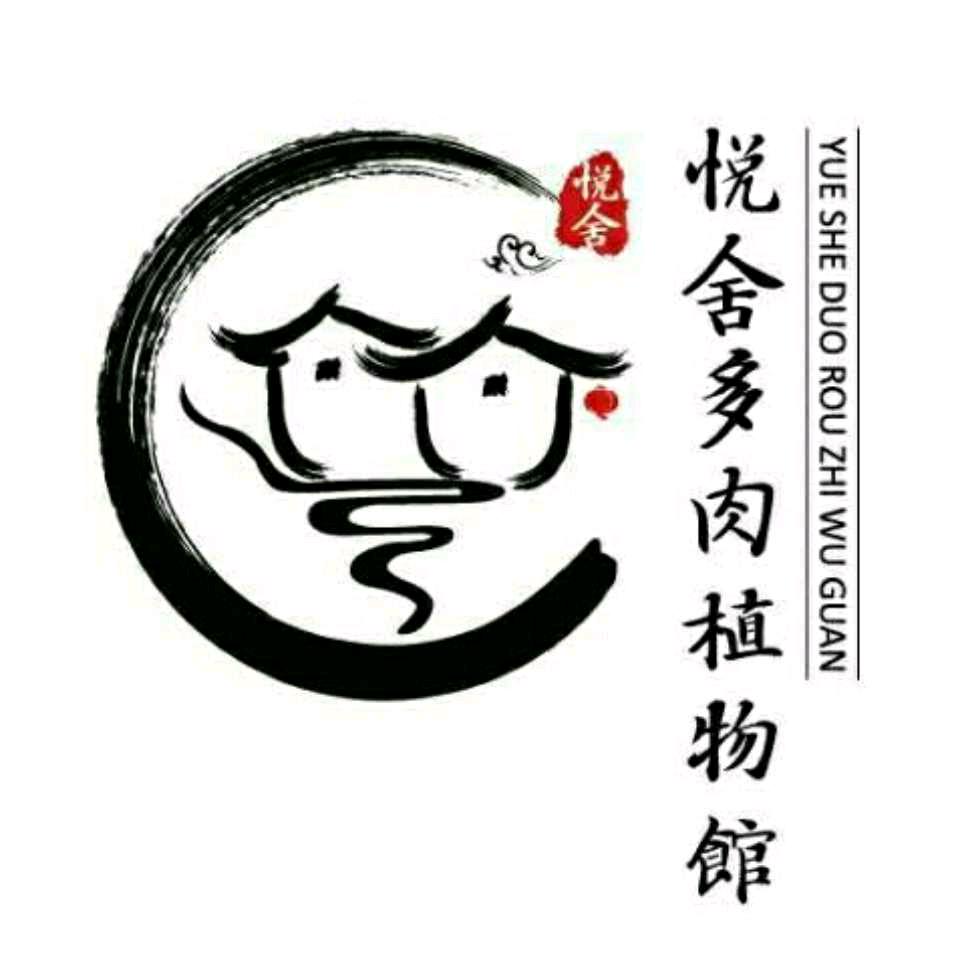 悦舍园艺多肉-上午直播