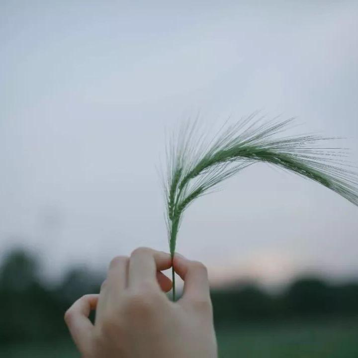 影子