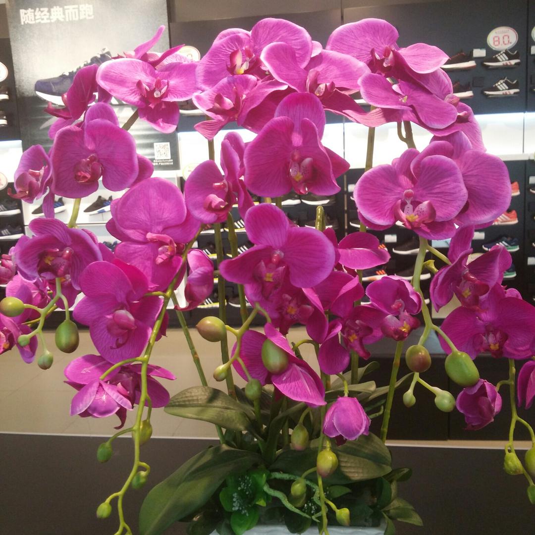 小娟分享乐趣！