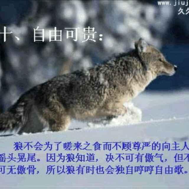 傲气不可有，傲骨不可无