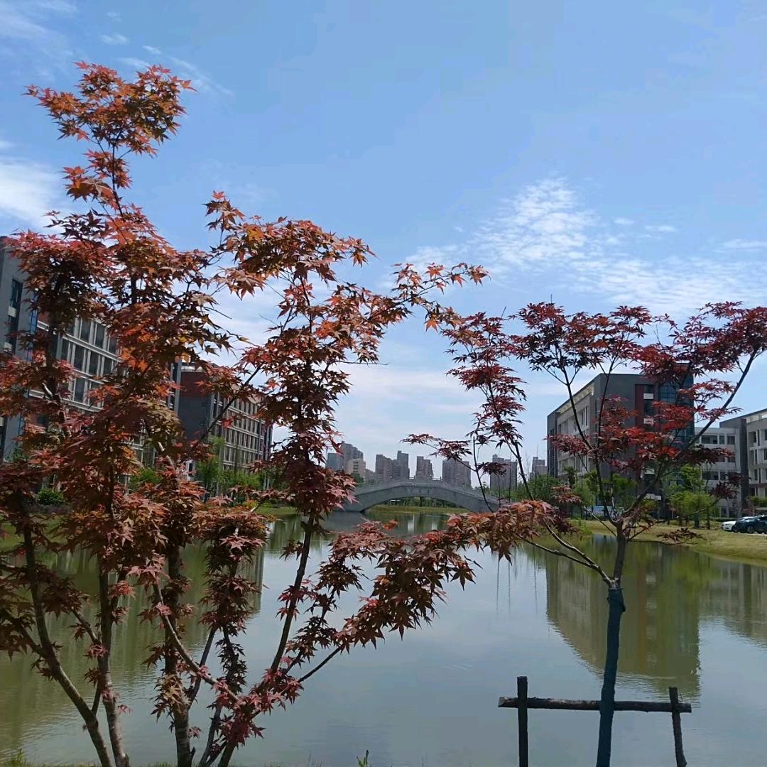 云在发梢