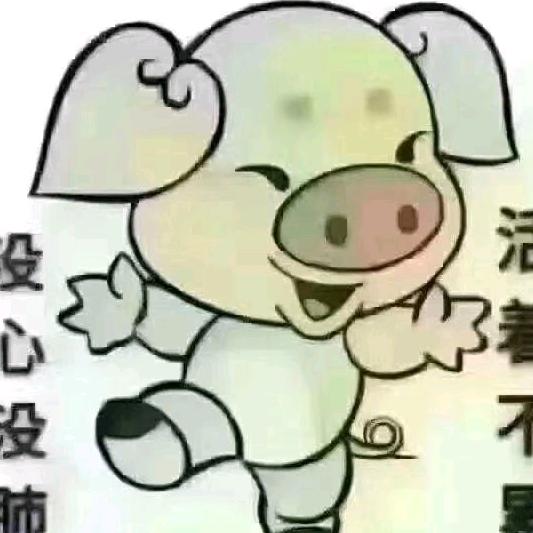 阿利