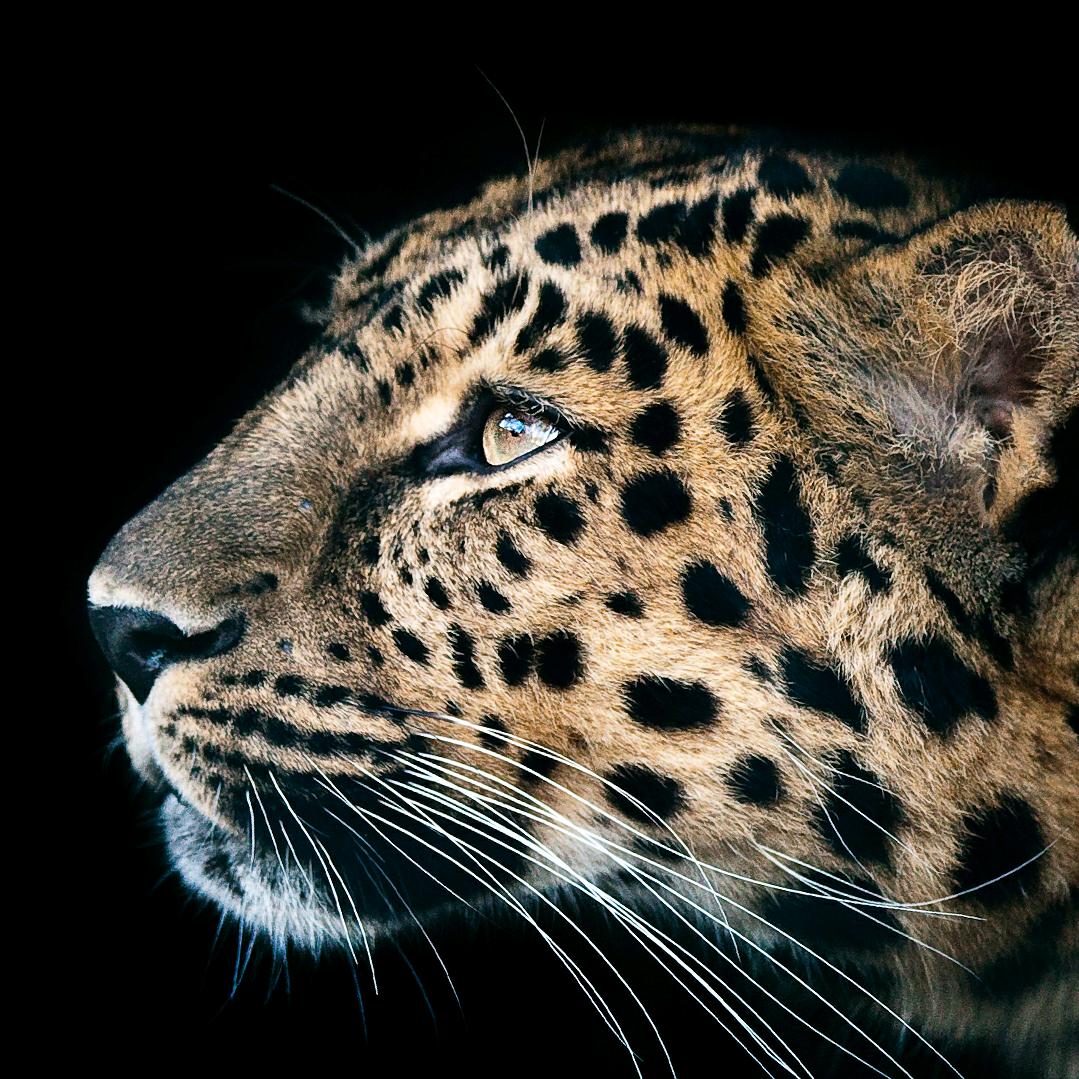 哈喽肉蛋堡～兖州店