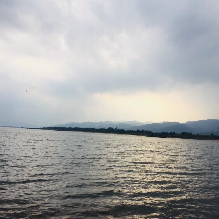 陳先生