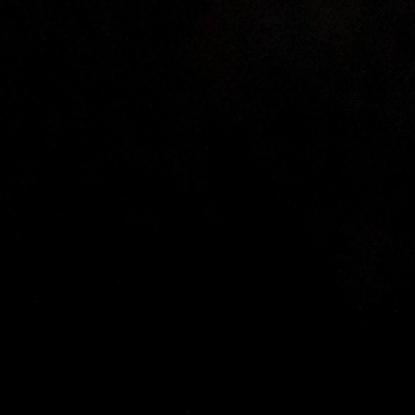 飞翔的荷兰人号