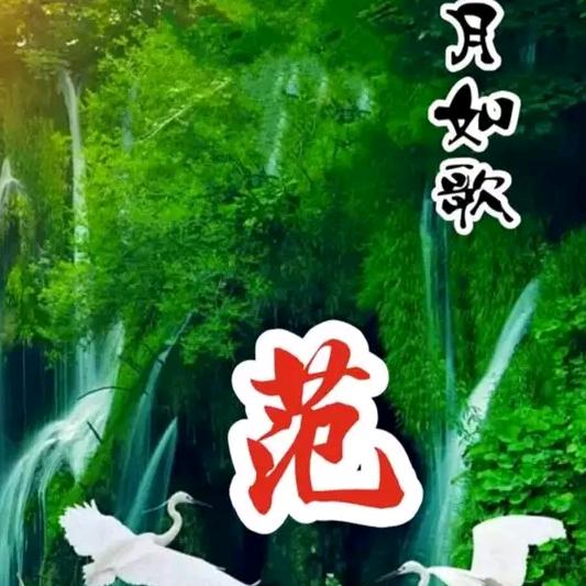 范先生