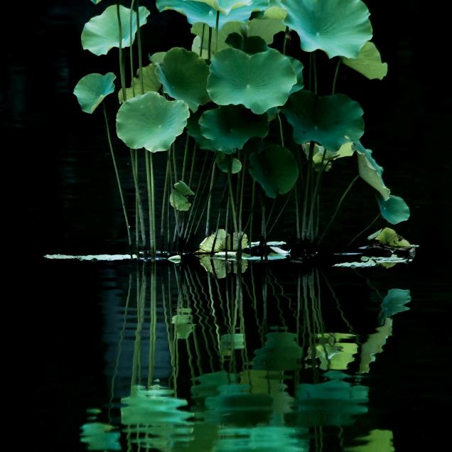 羊街老地主（王老二）