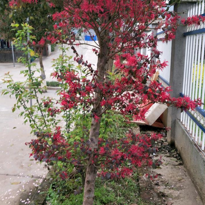 起床时