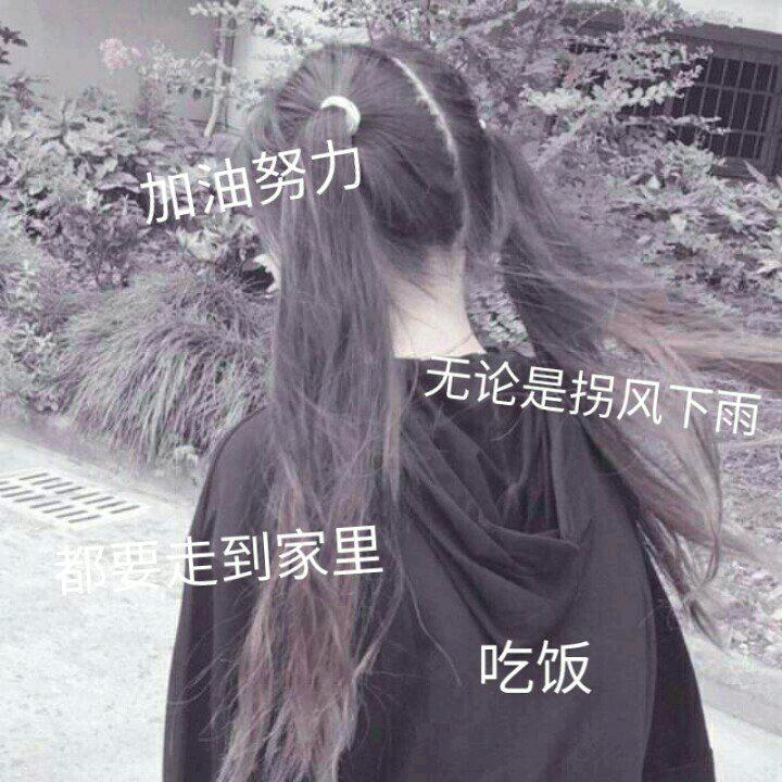 松鼠爱松果