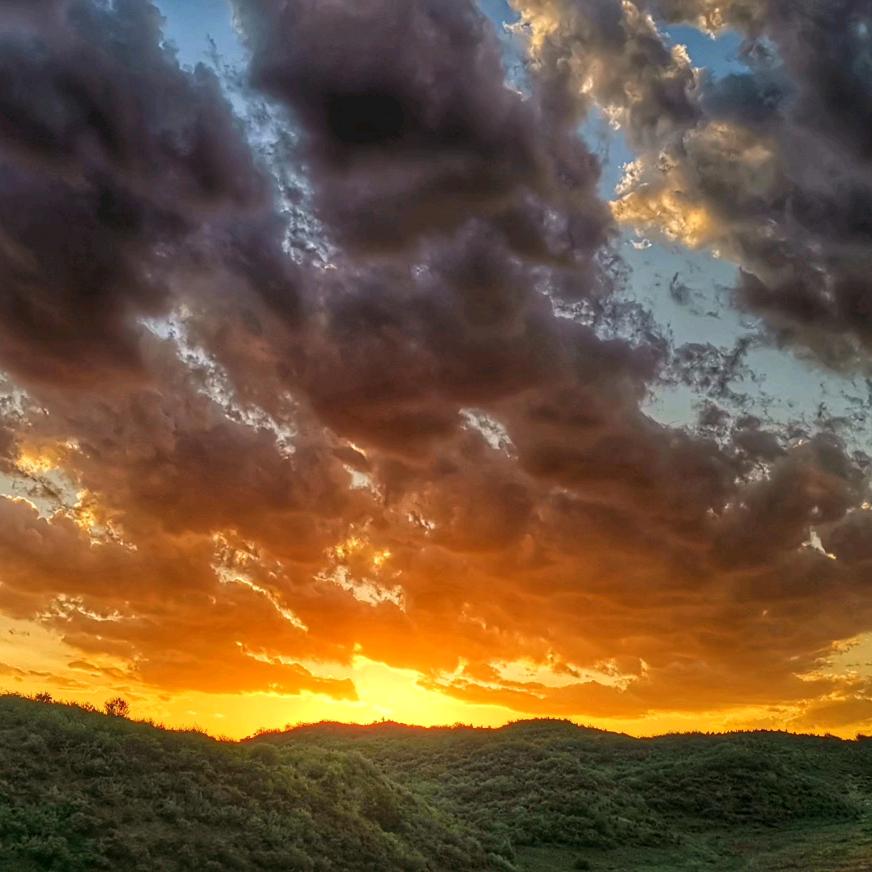 做定制的老家伙