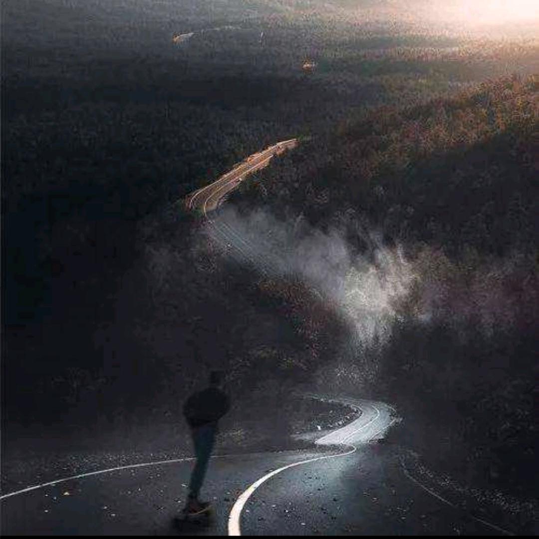 蓝桉ღ