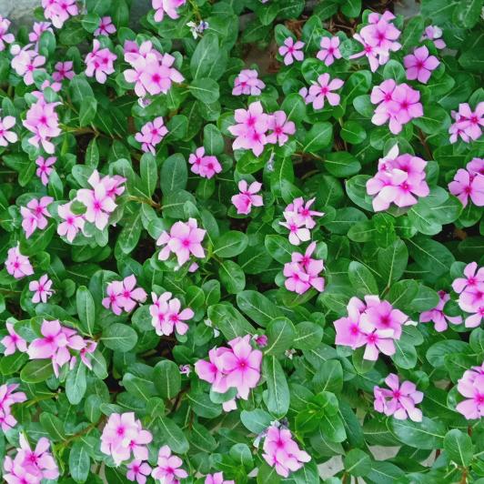 心态好💑才是🌷真的好👍👄