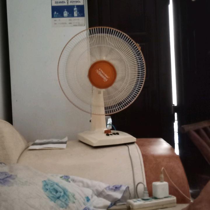逍遥浪子