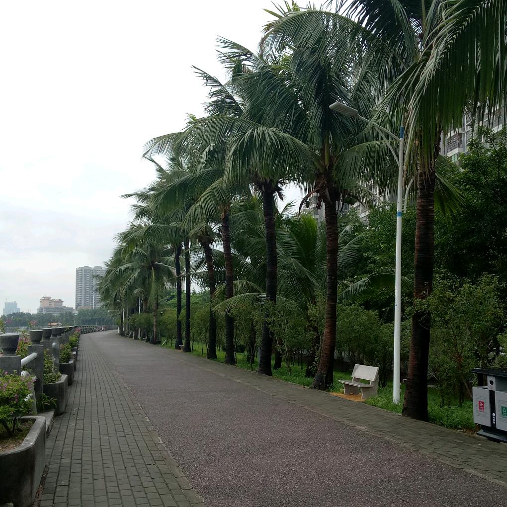 桃花依旧笑春风