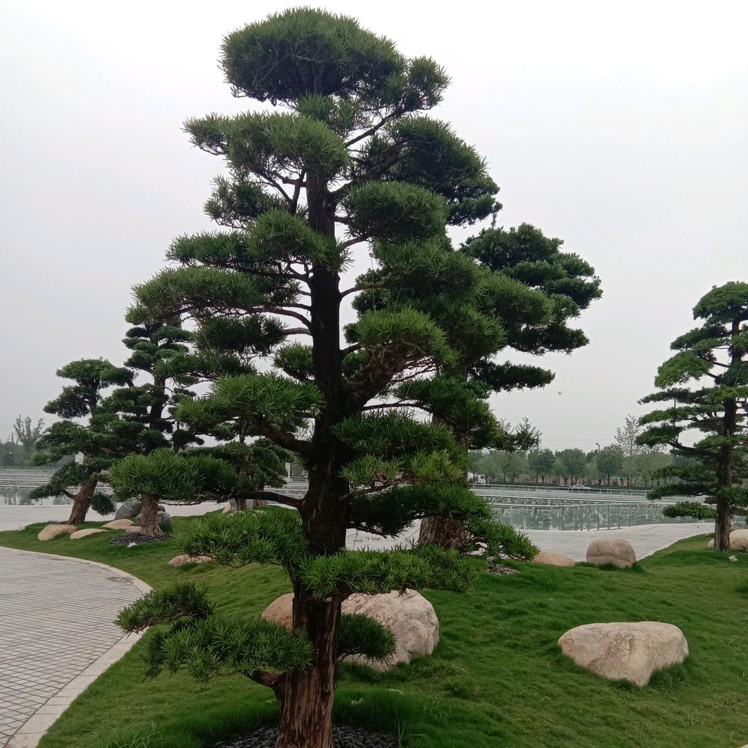 看不懂