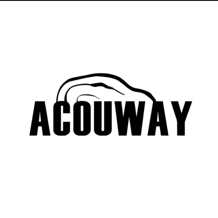 ACOUWAY乐器授权企业店