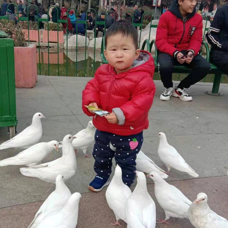 东岳